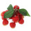 Modelo artificial de lichia - decoração de fruta realista. 2