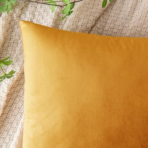 Μαξιλαροθήκες Cterwk Velvet Throw Διακοσμητική τετράγωνη μαξιλαροθήκη, μαλακή, συμπαγής, 2