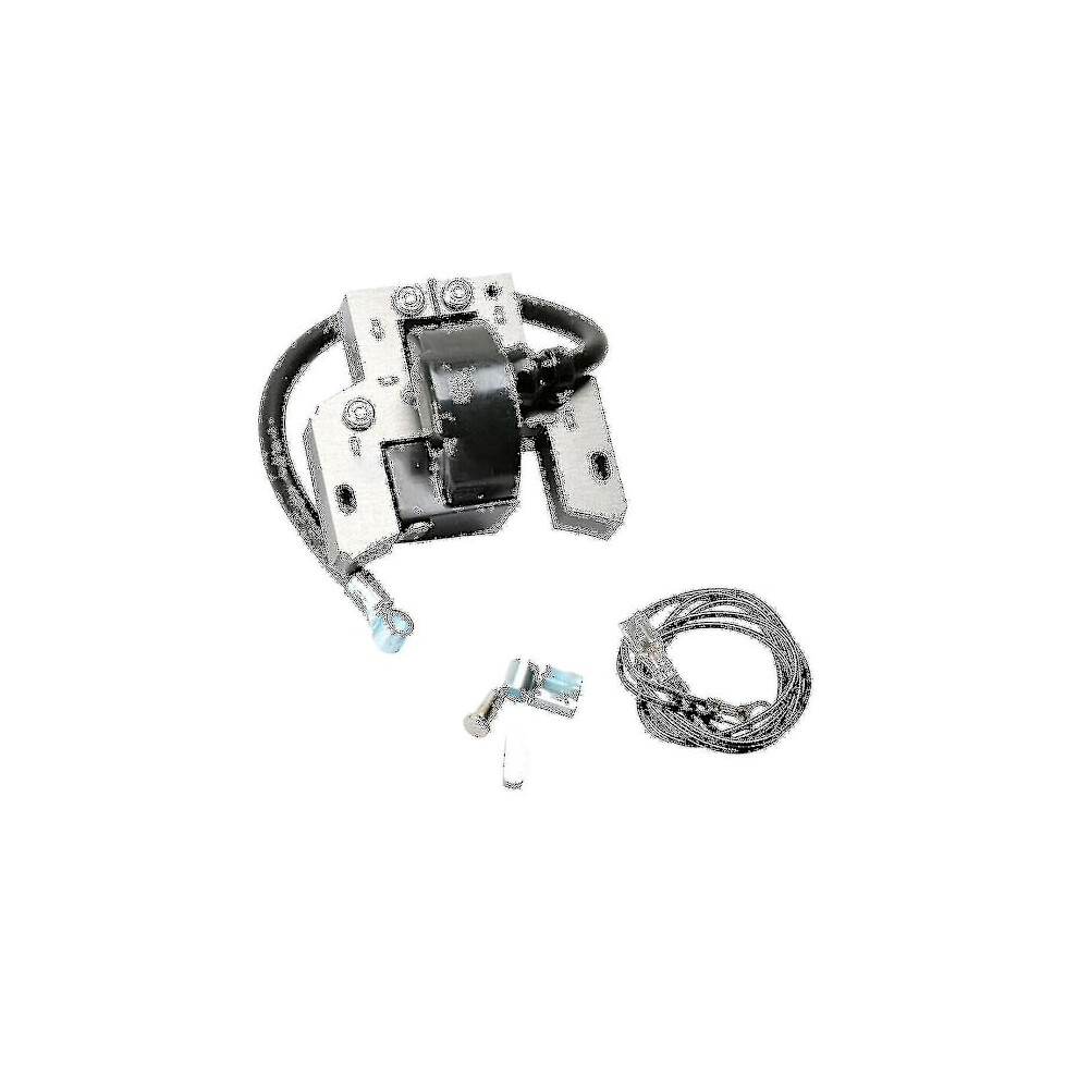 Ignition Coil For Briggs & Stratton 591420 398593 496914 793281 792395 E 9448196889145