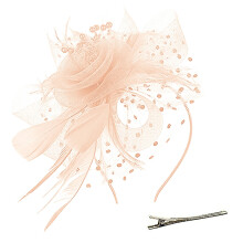Yubnlvae veren fascinator hoed voor dames, mesh bloemen hoofdband haarclip, geschikt voor bruiloften, theefeesten en cocktails.