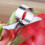 2PC Steel Kitchen Accessories Lemon Slicer Fruit & Vegetable Tools Orange Peeler 3