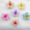 Pacote com 6 presilhas de cabelo florais antiderrapantes 6