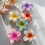 Pacote com 6 presilhas de cabelo florais antiderrapantes 7