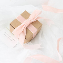 BalsaCircle1" x 10 yards Blush fluwelen nylon lintrol voor bruiloften, feesten, evenementen, recepties en huisdecoratie.