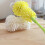 Βούρτσα καθαρισμού κουζίνας Easy Bottle Glass Cup Soft Foam Cleaning Tool 5