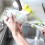 Βούρτσα καθαρισμού κουζίνας Easy Bottle Glass Cup Soft Foam Cleaning Tool 4