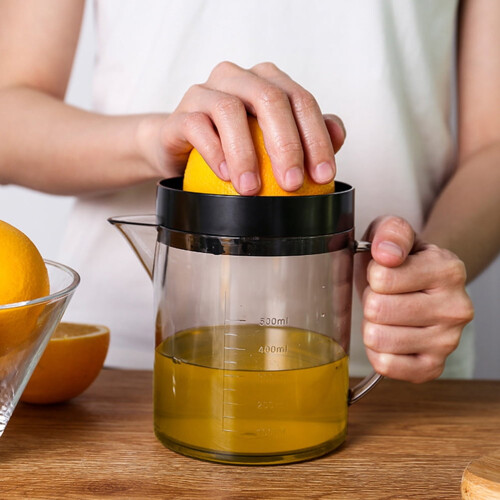Fruit Mixer Blender Squeezer Kitchen Tool Portable Juicer Machines Manual 2 Pcs 2