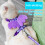 PetClub Angel Wings Διακόσμηση για κατοικίδια, λουρί, ζώνη, γιλέκο, ζώνη ασφαλείας, είδη 4