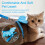 PetClub Angel Wings Διακόσμηση για κατοικίδια, λουρί, ζώνη, γιλέκο, ζώνη ασφαλείας, είδη 6
