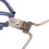 Πένσα υαλοπινάκων Eease Pottery Glazing Clip Glaze Plier Εργαλείο υαλοπινάκων πορσελάνης DIY, πένσα 2