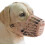 Basket Dog Muzzle for All Sizes, Cage Muzzle to Stop Biting & Chewing, Adjustable Strap for Vet, Grooming, Walking 1