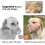 Basket Dog Muzzle for All Sizes, Cage Muzzle to Stop Biting & Chewing, Adjustable Strap for Vet, Grooming, Walking 5