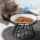 PetClub Ταΐστρα για κατοικίδια, Σιδερένια βάση με μπολ, προστασία αυχενικών 1