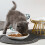 PetClub Ταΐστρα για κατοικίδια, Σιδερένια βάση με μπολ, προστασία αυχενικών 5