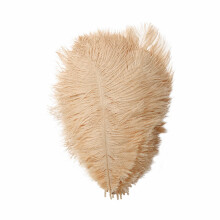 Yuehao 36Pcs Feather 23cm Stage Props Feather Wall Color Feathers Champagne