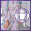 Huggies Huggies DryNites, Girls' Night Time Pants - Sizes 6