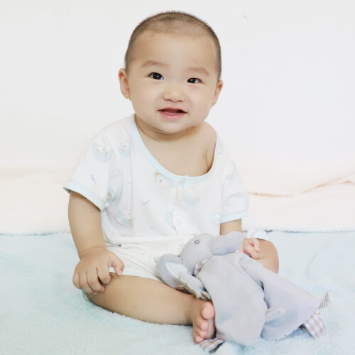 FenFang Baby Comforters Newborn, Elephant Soft Tag 1