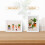 10 x Interior Dehumidifiers Clear 7