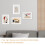 10 x Interior Dehumidifiers Clear 5