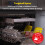 Russell Hobbs Russell Hobbs Freestanding Dishwasher, Class D, 14 Place Settings, 6 7
