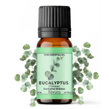 Revura Eucalyptus Essential Oil for Aromatherapy | 100% Pure Natural Oil for Diffuser & Massage | Perfect for Diffuser, Shower, Bath |