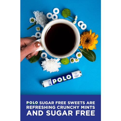 Polo Sugar Free Mints Tubes, 32 x 33.4 g 1