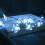 Romantic LED String Lights, Energy Saving Decorative Multi-Mode Lights for Your Special Moments 5