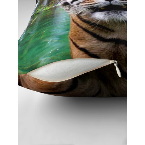 Μαξιλαροθήκες AIVO Tiger and Waterfall, Θήκες Μαξιλαριού, Θήκη Καναπέ, Διπλής Όψης 1