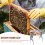 Beehive Tool Frame Beehive Clip Beehive Frame Capture Clamp Beekeeping Tool 3