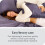 Jupe de lit Bare Home, en microfibre plissée, retombée de 38 cm, format Queen, grise 2