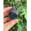 Fluorite brute naturelle, 1,5 à 2 pouces. 6