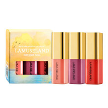 Matte Lipstick Set with LongLasting Matte Finish, 3 Piece Hydrating Gift for Women
