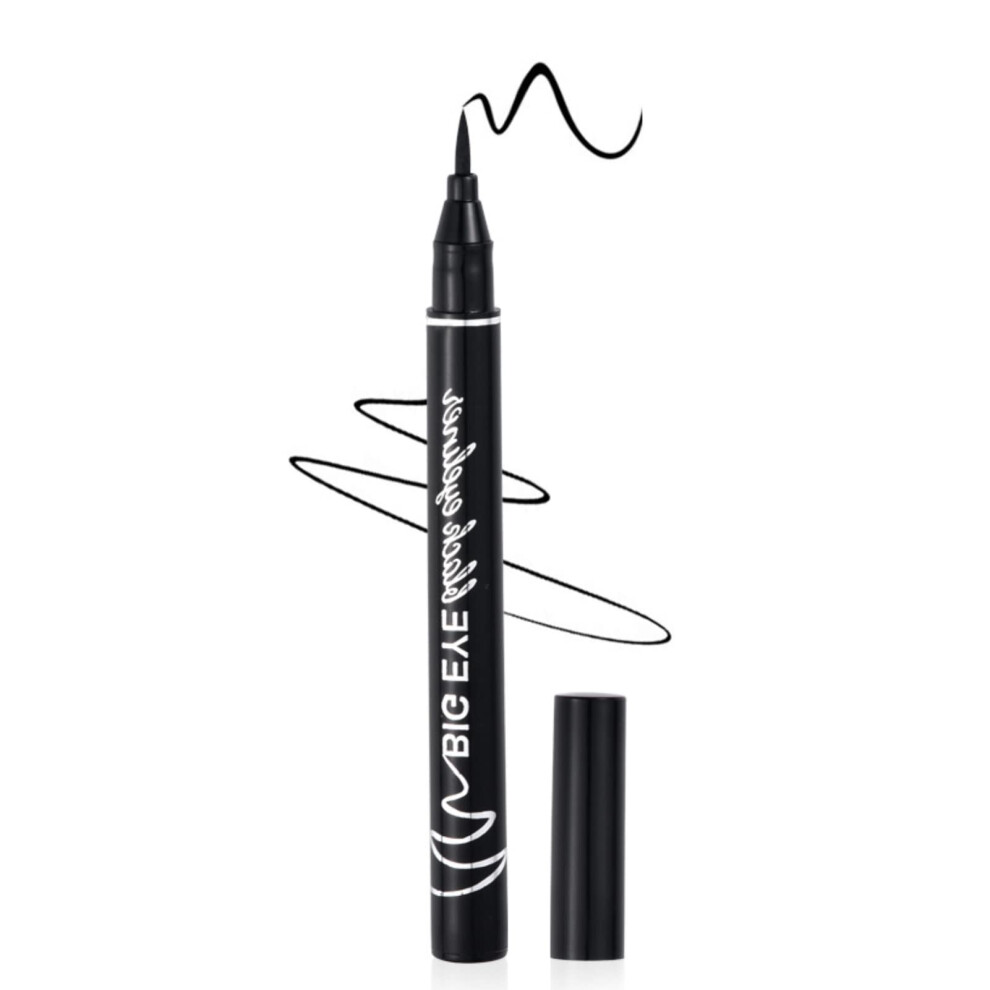 Black Waterproof Liquid Eyeliner With Ultra Precise Micro Tip, Long Lasting Smudgeproof Pen