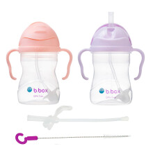 b.box Sippy Straw Cup Pack of 2 with Free Replacement Straw and Cleaner| 6m+ Baby and Toddler Straw Cups| BPA Free Leakproof Cup| Dishwasher Safe Str