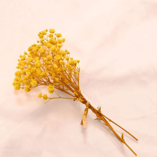 Αποξηραμένα λουλούδια βαμβακιού Babys Breath για διακόσμηση Natural Fresh Mini B T1N2