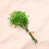 Αποξηραμένα λουλούδια βαμβακιού Babys Breath για διακόσμηση Natural Fresh Mini B T1N2 5
