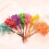 Αποξηραμένα λουλούδια βαμβακιού Babys Breath για διακόσμηση Natural Fresh Mini B T1N2 4