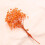 Αποξηραμένα λουλούδια βαμβακιού Babys Breath για διακόσμηση Natural Fresh Mini B T1N2 6