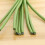 Kisflower9Pcs Μπουκέτο με τεχνητά λουλούδια και τουλίπες, συμβατό με διακόσμηση γάμου 8