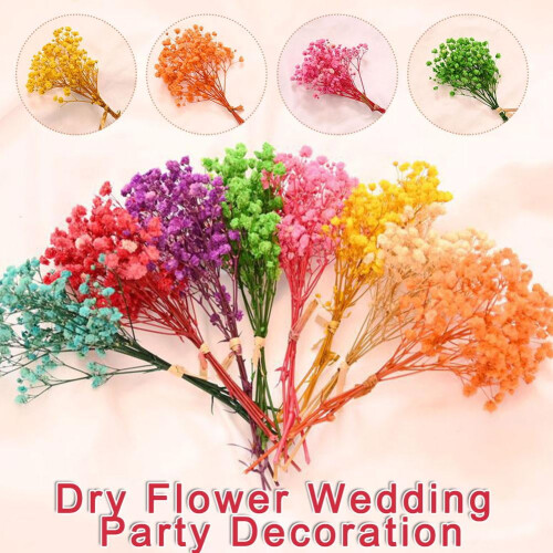 Αποξηραμένα λουλούδια βαμβακιού Babys Breath για διακόσμηση Natural Fresh Mini B T1N2 1