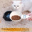 Cuillère doseuse pour aliments pour chats et chiens avec écran LCD. Q6T3 5