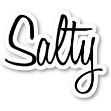 Salty Sticker Trendsetter Collections Stickers - Laptop Stickers - 2.5 Inch Vinyl Decal - Laptop, Phone, Tablet Vinyl