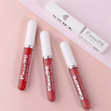 Waterproof Matte Liquid Lipstick Long Lasting NonStick Smooth Pigmented Lip Color A5G