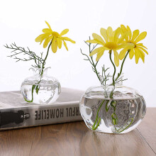 Juesi Small Clear Glass Vases for Flowers, Narrow Opening, Creative Pomegranate Shape Art Decor (Small + Medium)