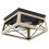 Unbranded2Light Cage Square/Rectangle Flush Mount Fixture Ocean View Oak 2