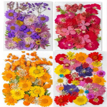 140Pcs Large Dried Pressed Flowers for Resin Molds, Real Dry Natural Flower Leaf for Crafts Scrapbooking, with Tweezers, Compatible with Candle,