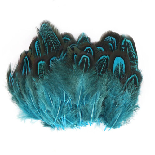 100 pcs Pheasant Plumage Feathers Blue