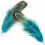 100 pcs Pheasant Plumage Feathers Blue 4