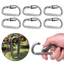 Aqyh roestvrije en corrosiebestendige mini-karabijnhaakjes - 6 stuks vergrendelbare karabijnhaakjes met D-ring en sleutelclip, veersluiting,