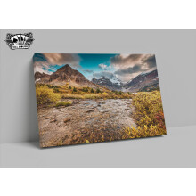 Mount Assiniboine über goldener Wildnis und Bach – Leinwanddruck – Full House (12″16″)